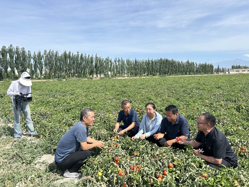 微信圖片_20240713220014.jpg 微信圖片_20240713220014.jpg