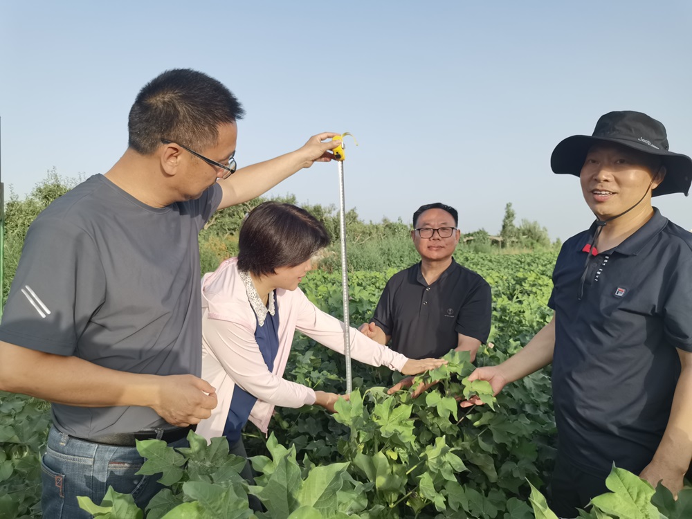 微信圖片_20240815132438.jpg 微信圖片_20240815132438.jpg