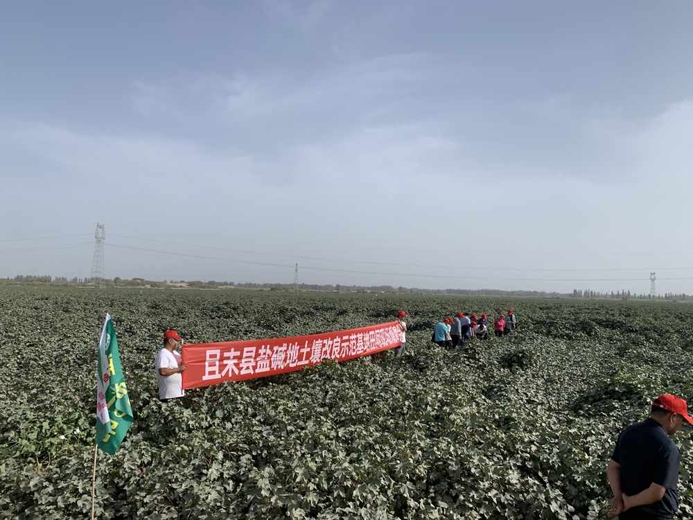 微信圖片_20240915112945.jpg 微信圖片_20240915112945.jpg